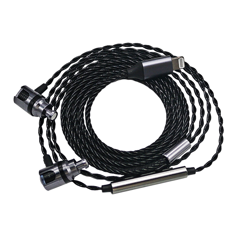 Originale kabelgebundene Kopfh – Wired Earphone Lightning Bewertung und Preis